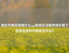 现在外围买球用什么app如何在当前市场环境下选择合适的外围投注平台？