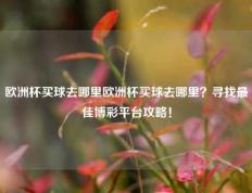欧洲杯买球去哪里欧洲杯买球去哪里？寻找最佳博彩平台攻略！