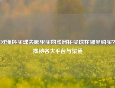 欧洲杯买球去哪里买的欧洲杯买球在哪里购买？揭秘各大平台与渠道