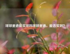 球球是道能买球吗球球是道，能否买到？
