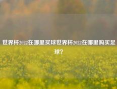 世界杯2022在哪里买球世界杯2022在哪里购买足球？