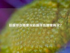 筋膜球在哪里买筋膜球在哪里购买？