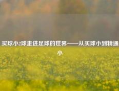 买球小2球走进足球的世界——从买球小到精通小