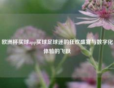 欧洲杯买球app买球足球迷的狂欢盛宴与数字化体验的飞跃