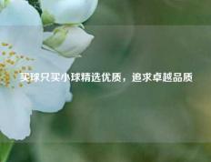 买球只买小球精选优质，追求卓越品质