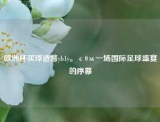 欧洲杯买球适瞥yb1y。с0м一场国际足球盛宴的序幕