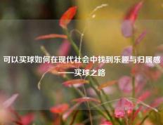 可以买球如何在现代社会中找到乐趣与归属感——买球之路