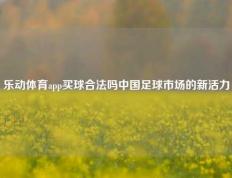 乐动体育app买球合法吗中国足球市场的新活力