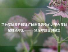 平台买球聚胜顽球汇球市风云变幻，平台买球聚胜顽球汇——一场足球盛宴的诞生
