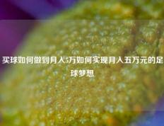 买球如何做到月入5万如何实现月入五万元的足球梦想