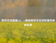 西甲买球瘟幢yb8。tv揭秘西班牙足球联赛的神秘世界