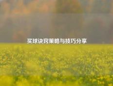 买球诀窍策略与技巧分享
