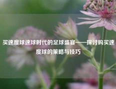 买速度球速球时代的足球盛宴——探讨购买速度球的策略与技巧
