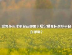 世界杯买球平台在哪里卡塔尔世界杯买球平台在哪里？