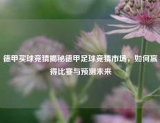 德甲买球竞猜揭秘德甲足球竞猜市场，如何赢得比赛与预测未来