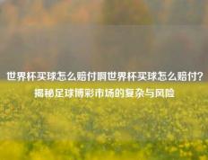 世界杯买球怎么赔付啊世界杯买球怎么赔付？揭秘足球博彩市场的复杂与风险