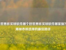 世界杯买球软件哪个好世界杯买球软件哪家强？揭秘市场选择的最佳路径