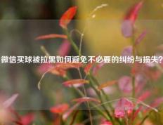 微信买球被拉黑如何避免不必要的纠纷与损失？