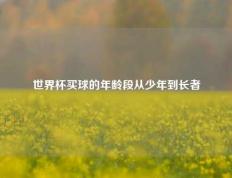 世界杯买球的年龄段从少年到长者
