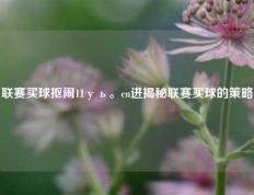 联赛买球抠闹11уь。cn进揭秘联赛买球的策略