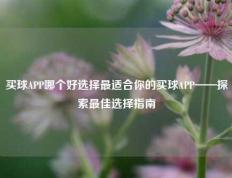 买球APP哪个好选择最适合你的买球APP——探索最佳选择指南