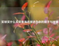 买球买什么买房靠海选择适合你的房子与球场