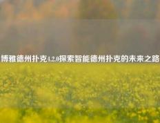 博雅德州扑克4.2.0探索智能德州扑克的未来之路
