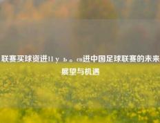 联赛买球资迸11уь。cn进中国足球联赛的未来展望与机遇