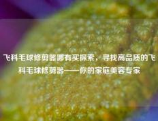 飞科毛球修剪器哪有买探索，寻找高品质的飞科毛球修剪器——你的家庭美容专家