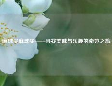 麻球买麻球买——寻找美味与乐趣的奇妙之旅