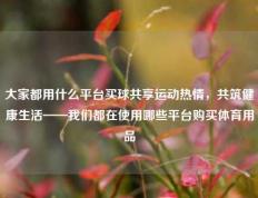 大家都用什么平台买球共享运动热情，共筑健康生活——我们都在使用哪些平台购买体育用品