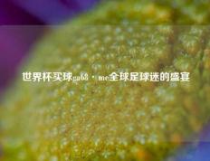 世界杯买球ga68·me全球足球迷的盛宴