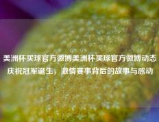 美洲杯买球官方微博美洲杯买球官方微博动态庆祝冠军诞生，激情赛事背后的故事与感动