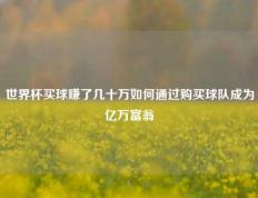 世界杯买球赚了几十万如何通过购买球队成为亿万富翁