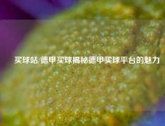 ╫买球站/德甲买球揭秘德甲买球平台的魅力