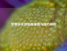 世界杯买球指南策略与技巧解析