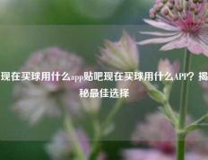 现在买球用什么app贴吧现在买球用什么APP？揭秘最佳选择