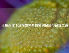 乐鱼买球下注探索体育博彩的合法与合规之道