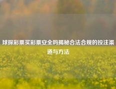 球探彩票买彩票安全吗揭秘合法合规的投注渠道与方法
