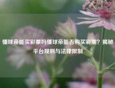 懂球帝能买彩票吗懂球帝能否购买彩票？揭秘平台规则与法律限制
