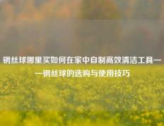 钢丝球哪里买如何在家中自制高效清洁工具——钢丝球的选购与使用技巧