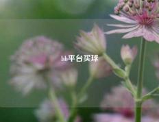 bb平台买球