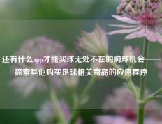还有什么app才能买球无处不在的购球机会——探索其他购买足球相关商品的应用程序