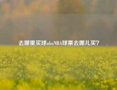 去哪里买球nbaNBA球票去哪儿买？