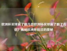 欧洲杯买球赢了翻几倍欧洲杯买球赢了翻了几倍？揭秘欧洲杯投注的奥秘