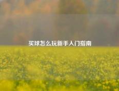 买球怎么玩新手入门指南