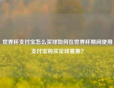 世界杯支付宝怎么买球如何在世界杯期间使用支付宝购买足球赛票？