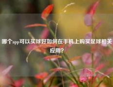 哪个app可以买球好如何在手机上购买足球相关应用？
