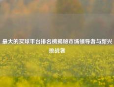 最大的买球平台排名榜揭秘市场领导者与新兴挑战者