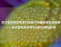 支付宝买球足球支付宝助力中国球迷在线观赛——支付宝买球足球平台的兴起与影响